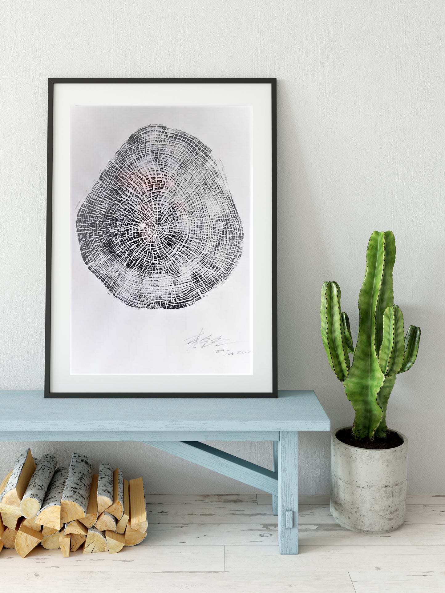 Oak Tree Ring Art - From Montreal Quebec (36X24 Inch)