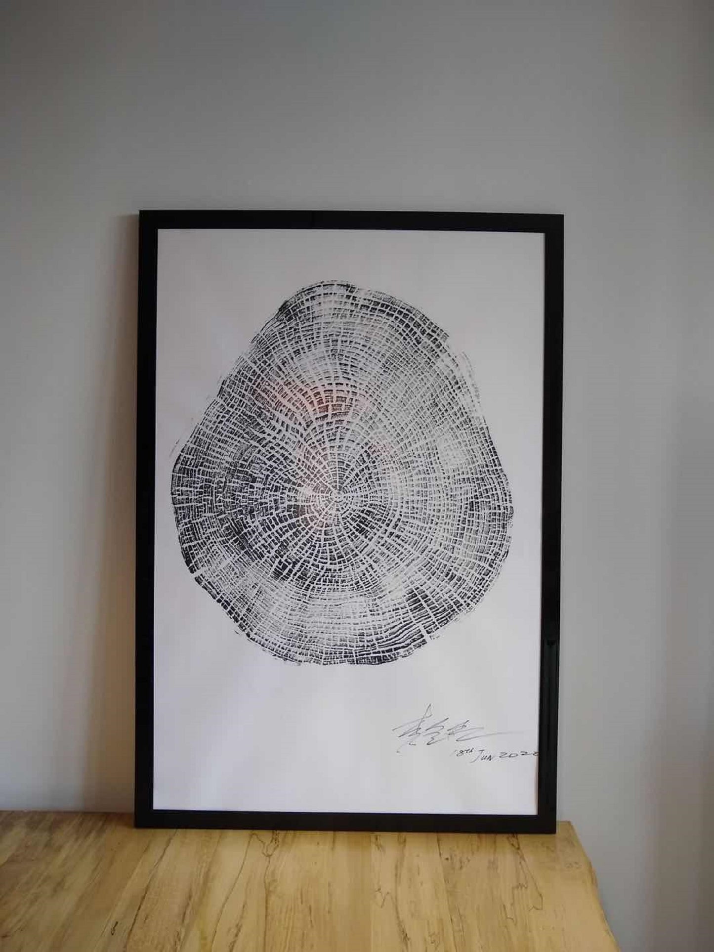 Oak Tree Ring Art - From Montreal Quebec (36X24 Inch)