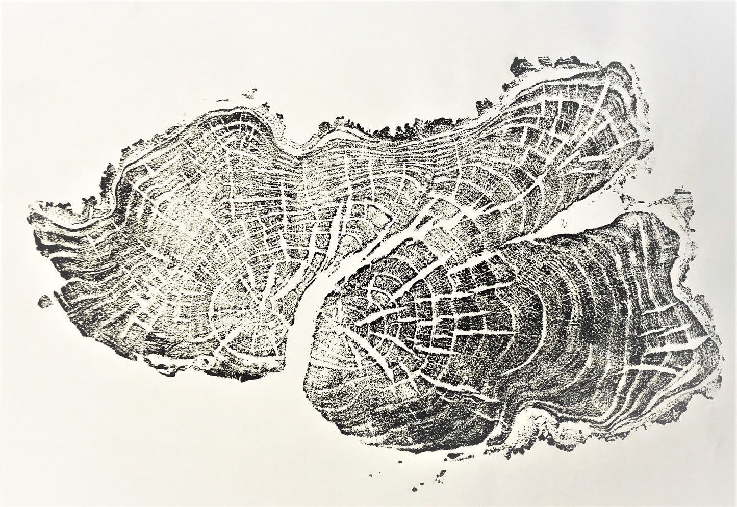 Handmade Willow Tree Ring Art, 36X24 Inch Large Tree Stump Prints, Nature Wall Art, Minimalist Living Decoration, Housewarmimg day Gift