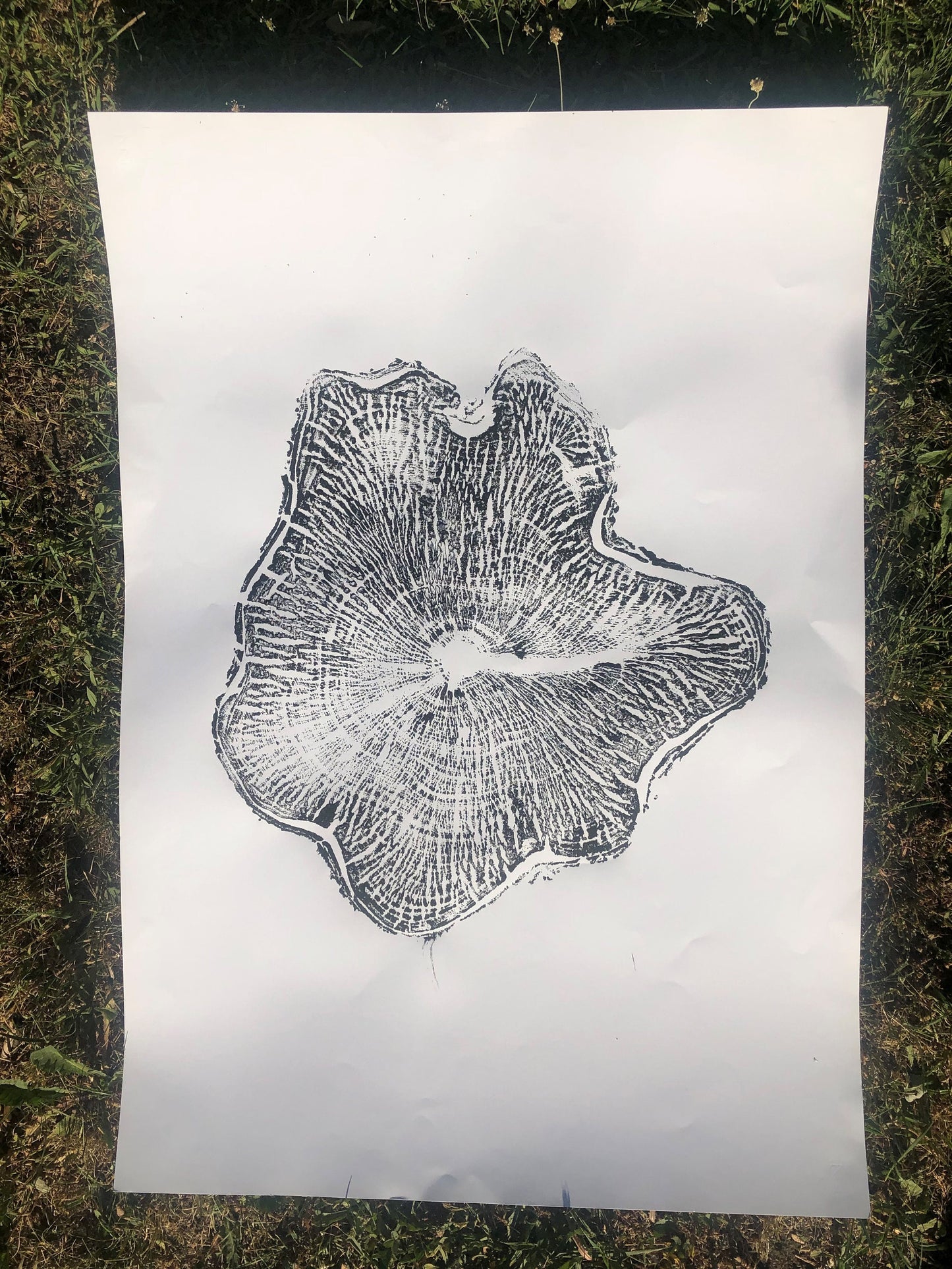 Handmade Ash Tree Ring Print, 36X24 Inch Large Tree Trunk Art, Black and White Print Wall Art, Minimalist Decoration, Housewarming Day Gift