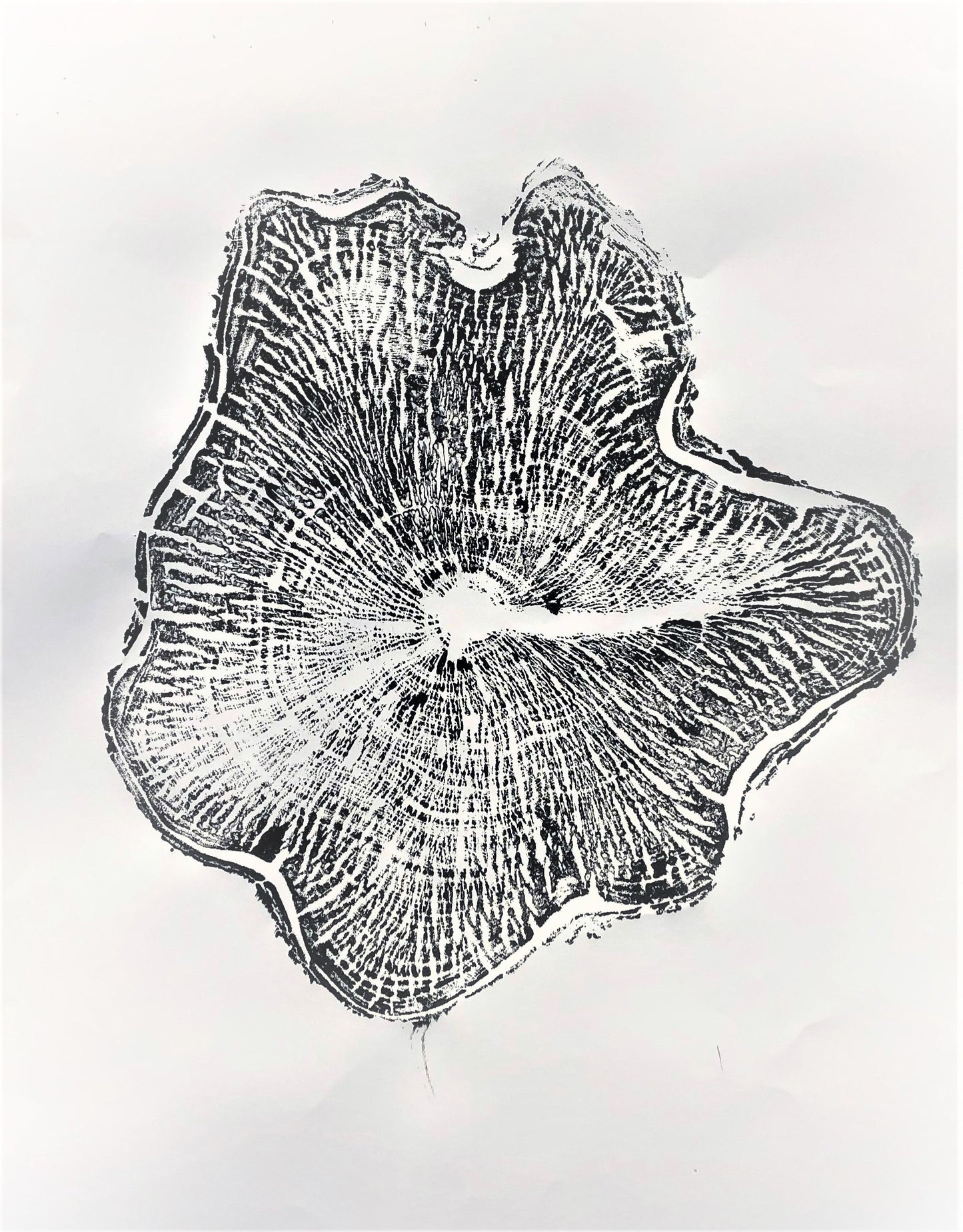Handmade Ash Tree Ring Print, 36X24 Inch Large Tree Trunk Art, Black and White Print Wall Art, Minimalist Decoration, Housewarming Day Gift