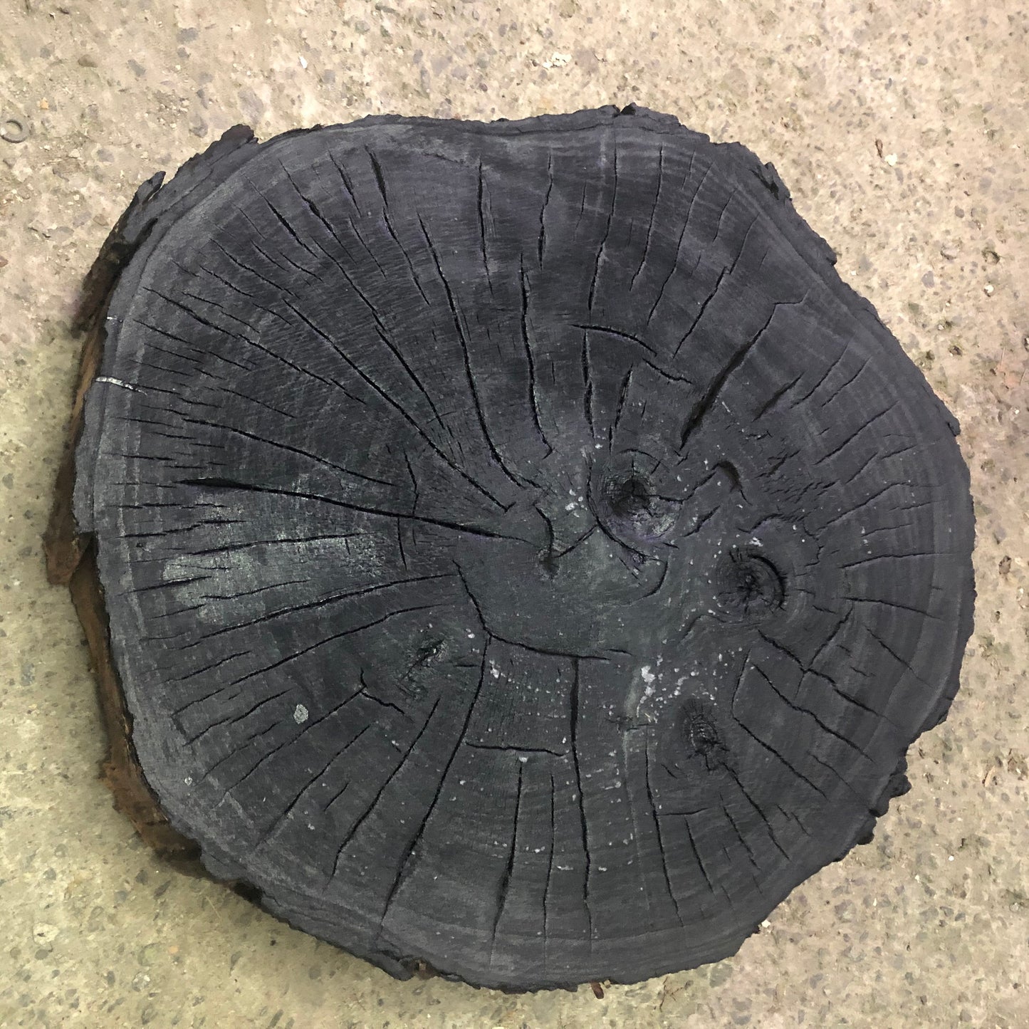Handmade Maple Tree Ring Art, 20*20 In Tree Stump Print, Tree Trunk Wall Art, Minimalist Living Decoration Gift, Housewarming day Gift
