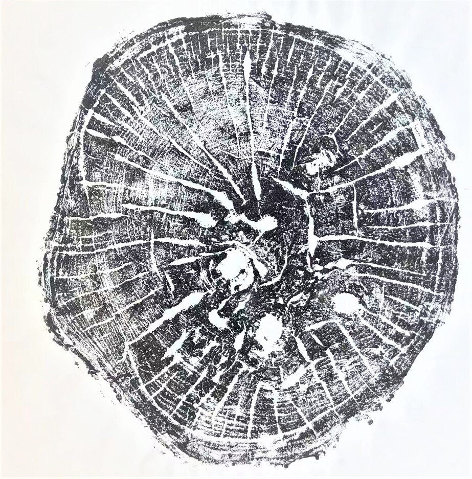 Handmade Maple Tree Ring Art, 20*20 In Tree Stump Print, Tree Trunk Wall Art, Minimalist Living Decoration Gift, Housewarming day Gift