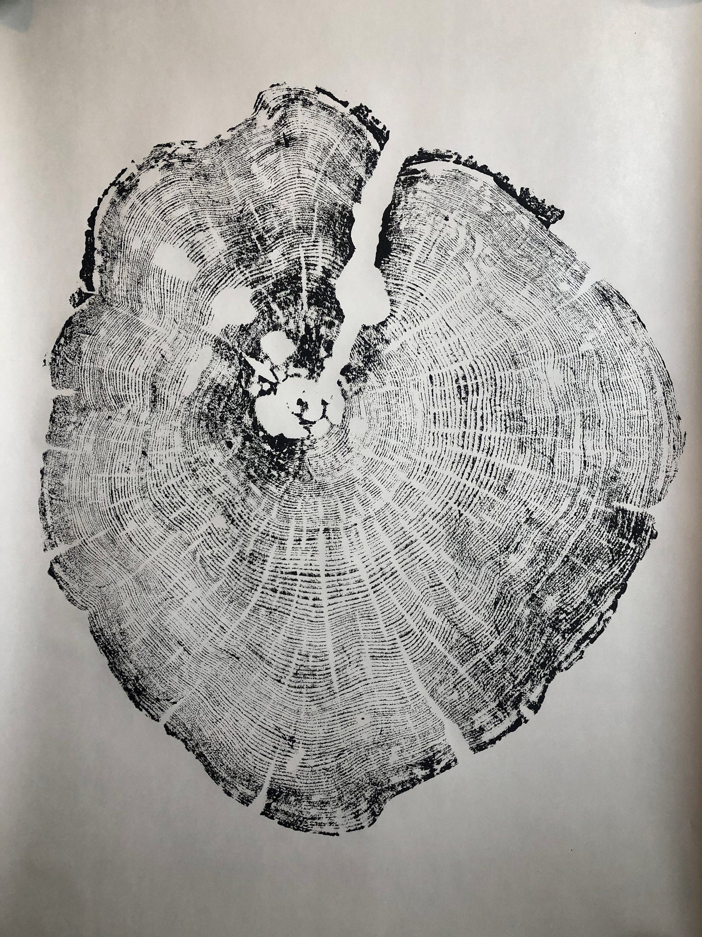 Handmade Cedar Tree Ring Art, 36X24 Inch Large Tree Stump Prints, Nature Wall Art, Minimalist Office Decor, Housewarming Gift