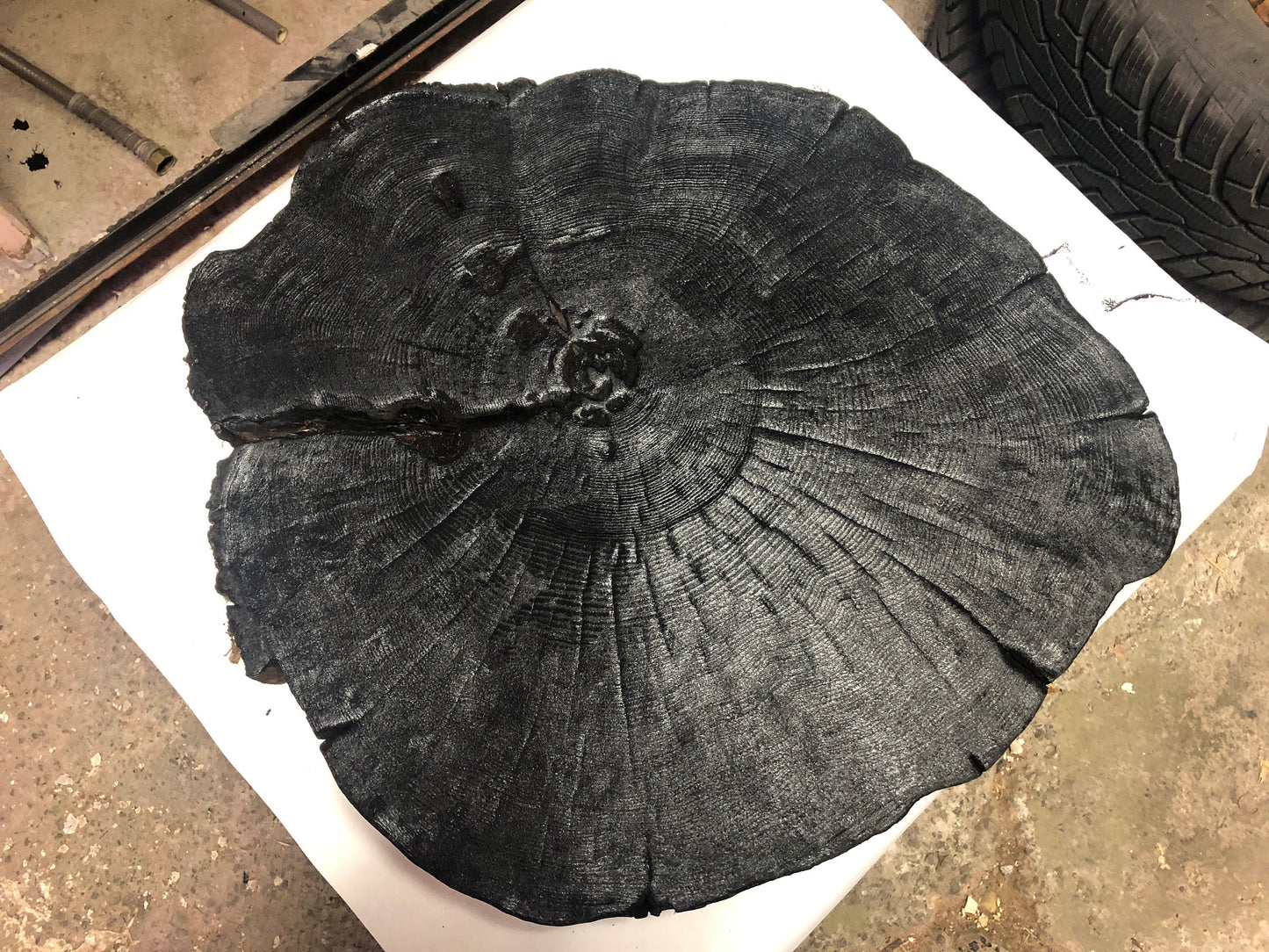 Handmade Cedar Tree Ring Art, 36X24 Inch Large Tree Stump Prints, Nature Wall Art, Minimalist Office Decor, Housewarming Gift