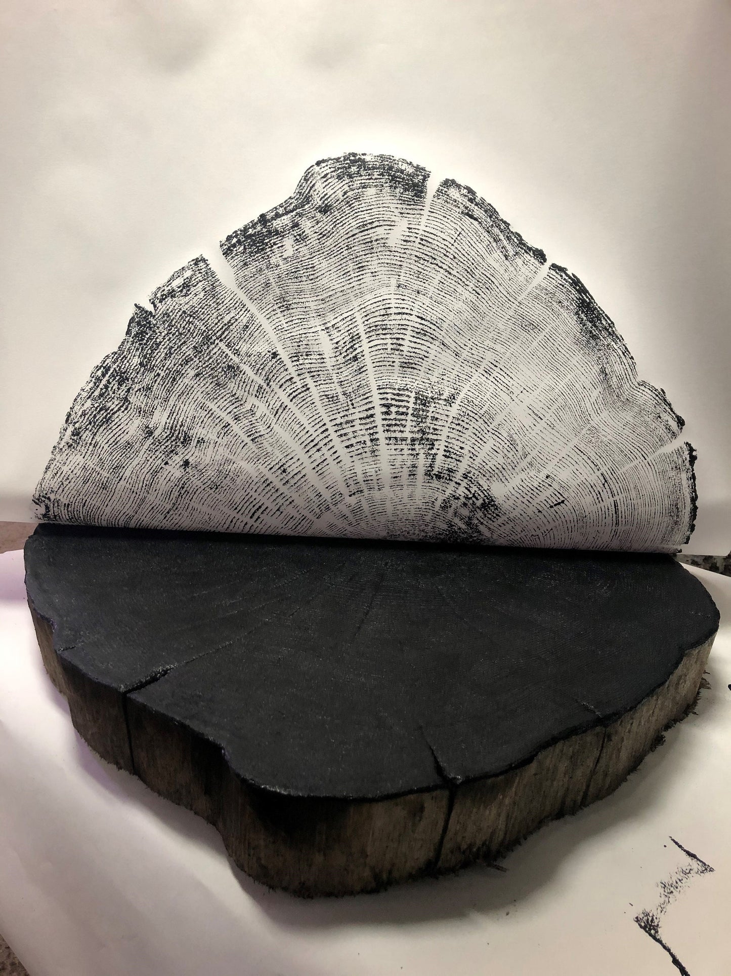 Handmade Robinia Locust Tree Ring Art, 36X24 Inch Large Tree Stump Prints, Nature Wall Art, Minimalist Office Decor, Housewarming Gift
