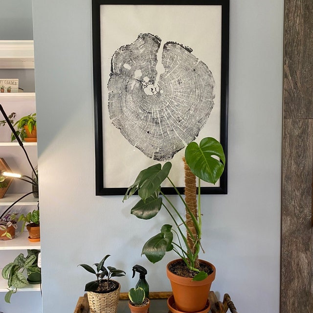 Handmade Cedar Tree Ring Art, 36X24 Inch Large Tree Stump Prints, Nature Wall Art, Minimalist Office Decor, Housewarming Gift