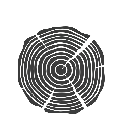 tree ring art